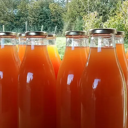 La Belle Aventure 3* Pont-Évêque