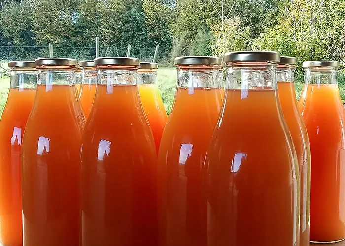 La Belle Aventure 3* Pont-l'Eveque (Calvados)